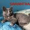 Samantha